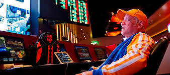 Gorilla Casino